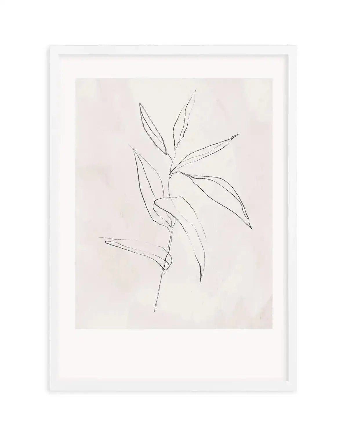 Le Jardin in Charcoal III Art Print-PRINT-Olive et Oriel-Olive et Oriel-Buy-Australian-Art-Prints-Online-with-Olive-et-Oriel-Your-Artwork-Specialists-Austrailia-Decorate-With-Coastal-Photo-Wall-Art-Prints-From-Our-Beach-House-Artwork-Collection-Fine-Poster-and-Framed-Artwork