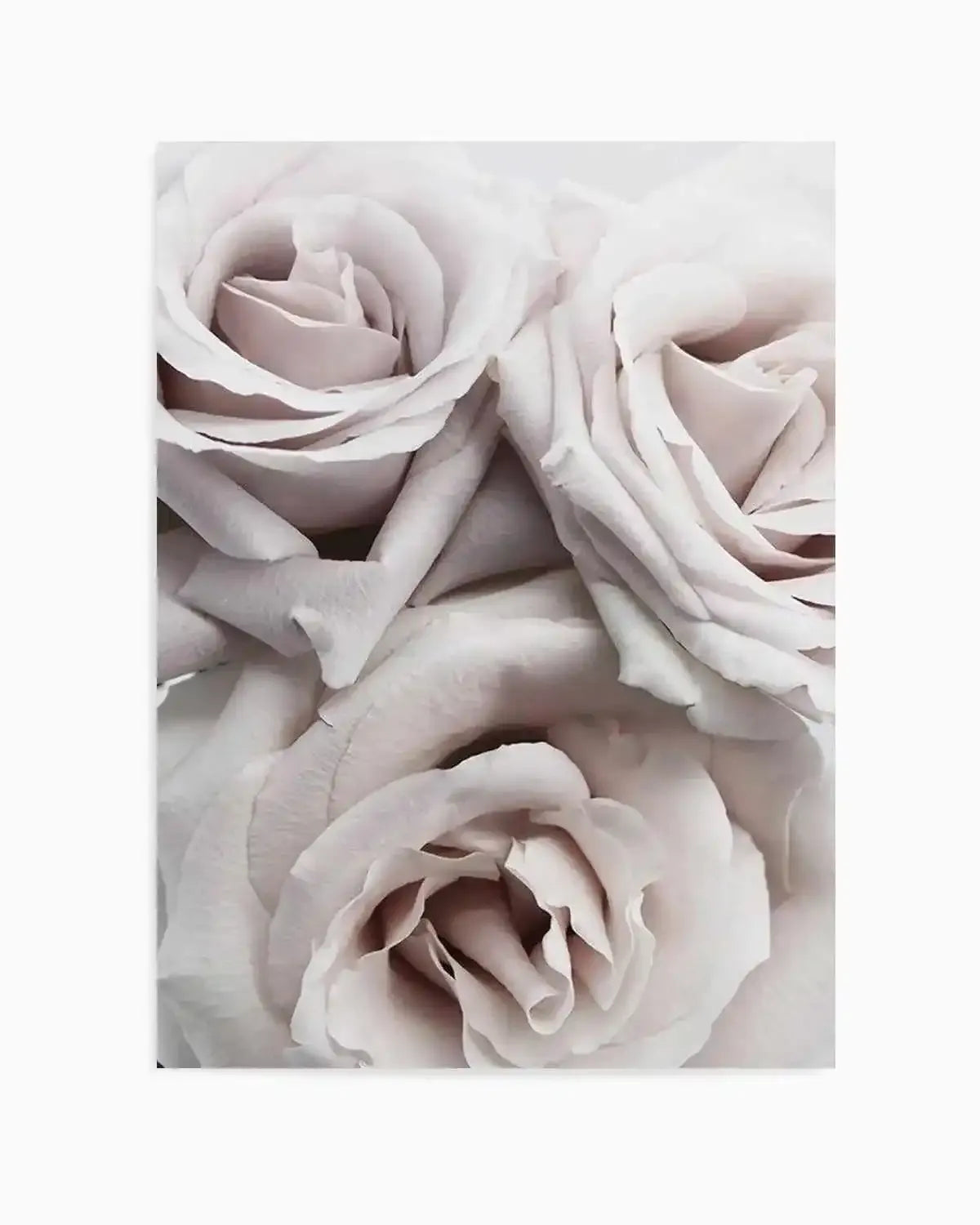 Le Parfum Art Print from Olive et Oriel where you can shop wallpaper and artworks online