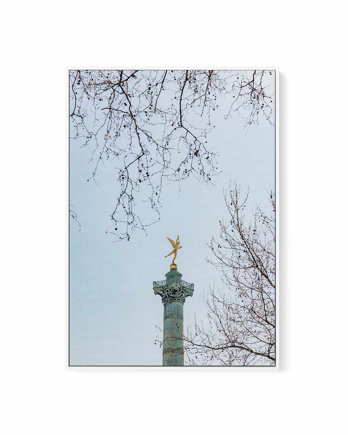 Le Pole by Jovani Demetrie | Framed Canvas Art Print