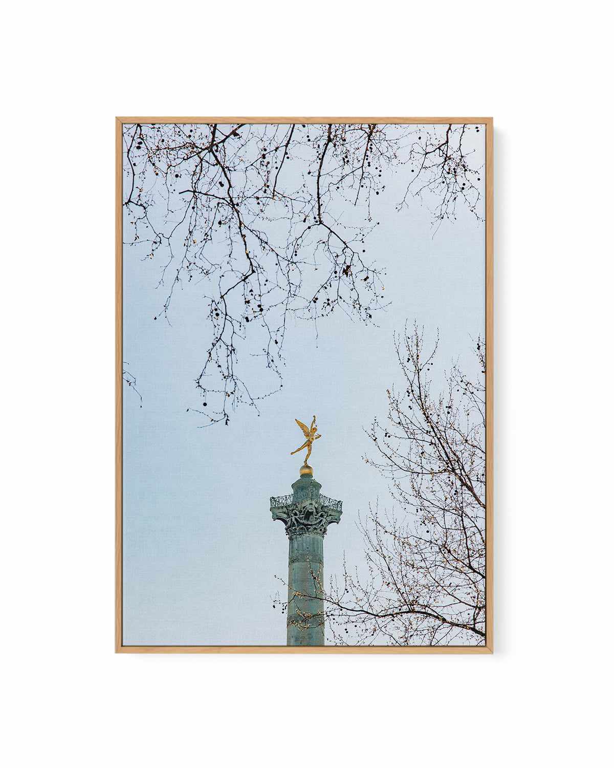 Le Pole by Jovani Demetrie | Framed Canvas Art Print