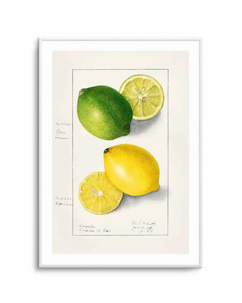 Lemon & Lime Vintage Poster Art Print from Olive et Oriel where you can shop wallpaper and artworks online