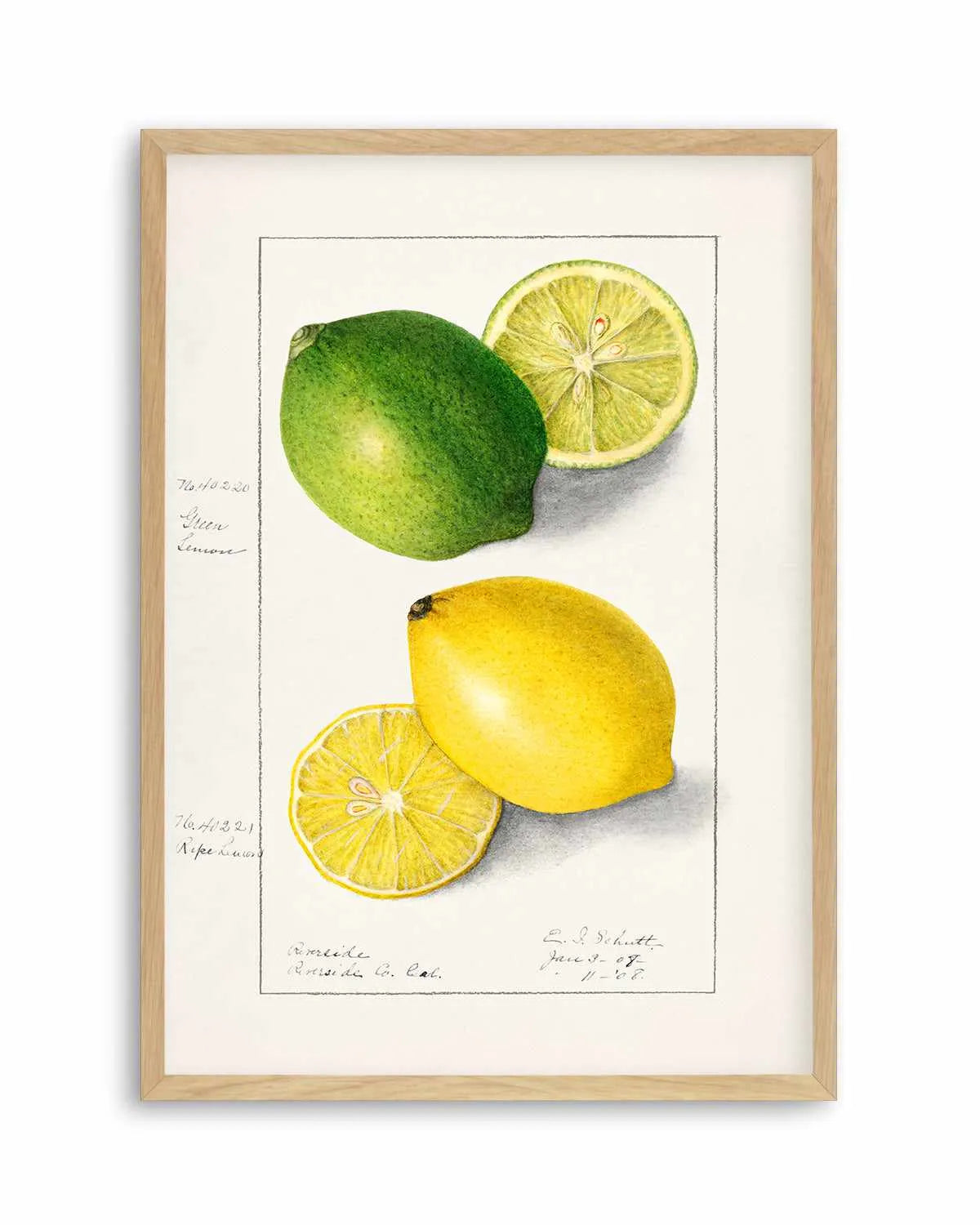 Lemon & Lime Vintage Poster Art Print from Olive et Oriel where you can shop wallpaper and artworks online