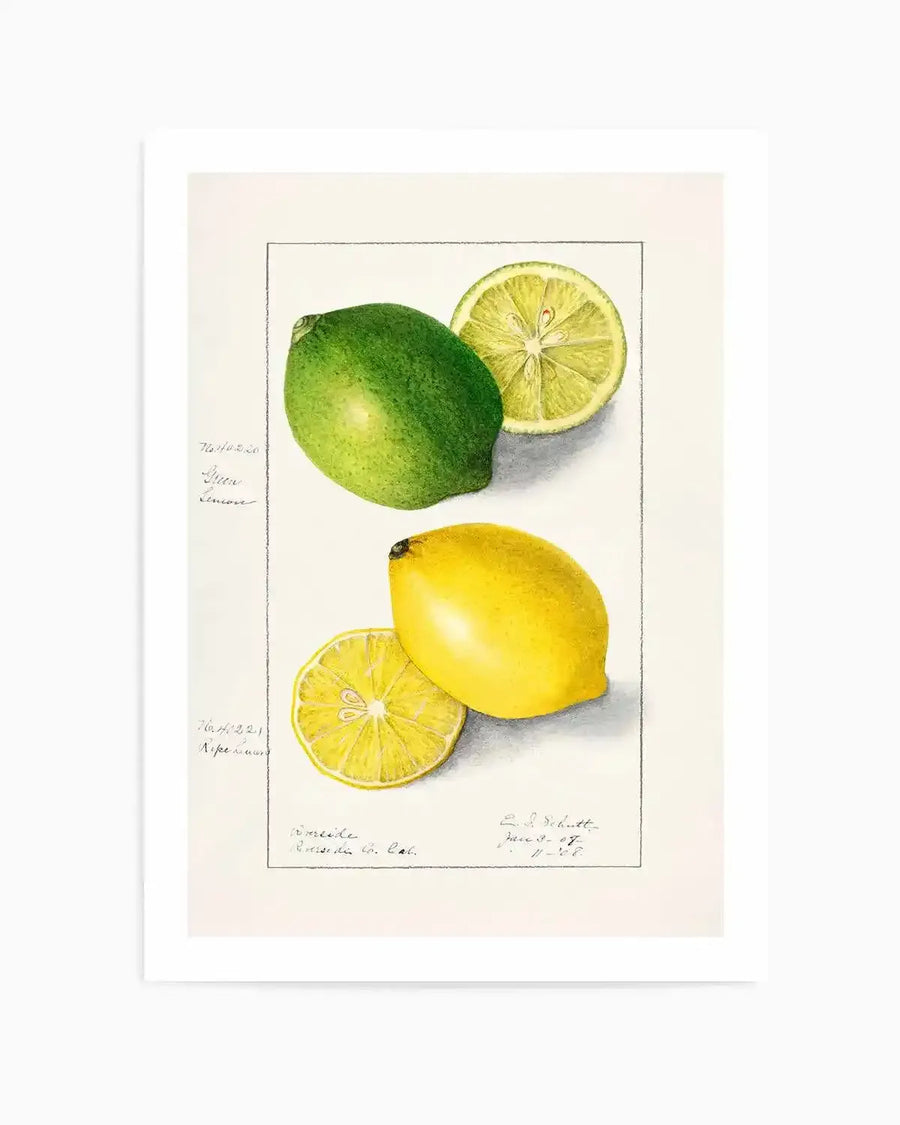 Lemon & Lime Vintage Poster Art Print from Olive et Oriel where you can shop wallpaper and artworks online