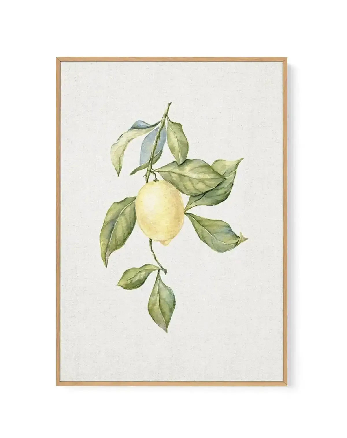 Lemons on Linen I | Framed Canvas-CANVAS-You can shop wall art online with Olive et Oriel for everything from abstract art to fun kids wall art. Our beautiful modern art prints and canvas art are available from large canvas prints to wall art paintings and our proudly Australian artwork collection offers only the highest quality framed large wall art and canvas art Australia - You can buy fashion photography prints or Hampton print posters and paintings on canvas from Olive et Oriel and have the