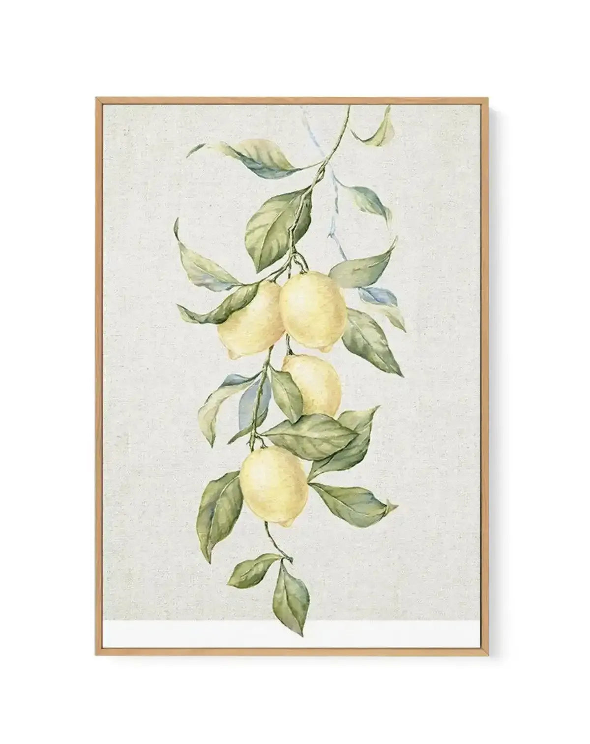 Lemons on Linen II | Framed Canvas-CANVAS-You can shop wall art online with Olive et Oriel for everything from abstract art to fun kids wall art. Our beautiful modern art prints and canvas art are available from large canvas prints to wall art paintings and our proudly Australian artwork collection offers only the highest quality framed large wall art and canvas art Australia - You can buy fashion photography prints or Hampton print posters and paintings on canvas from Olive et Oriel and have th