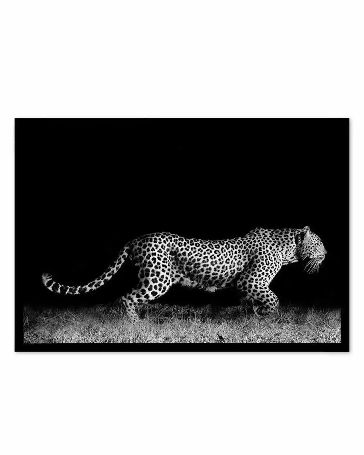 Leopard De Nuit | LS Art Print from Olive et Oriel where you can shop wallpaper and artworks online