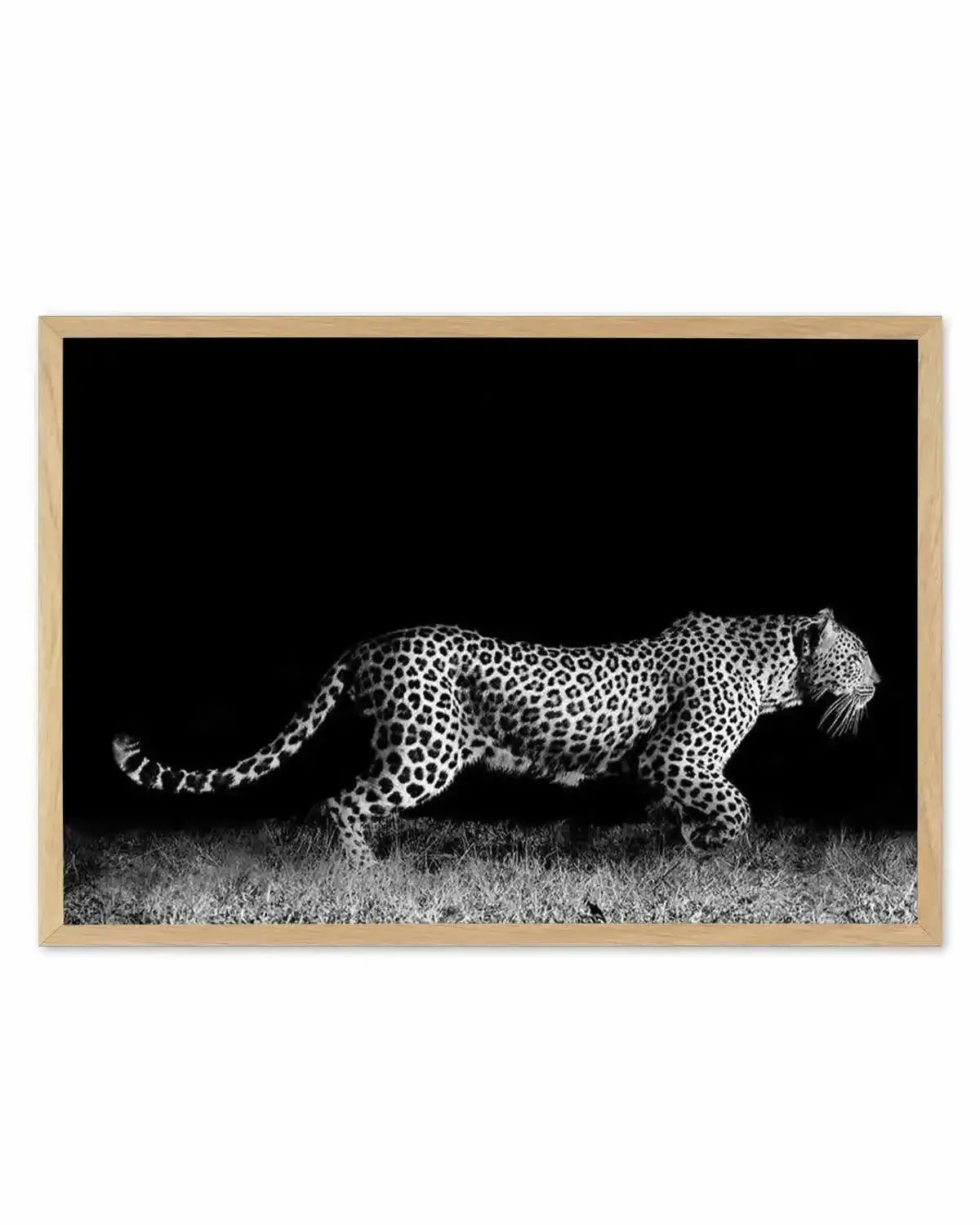 Leopard De Nuit | LS Art Print from Olive et Oriel where you can shop wallpaper and artworks online