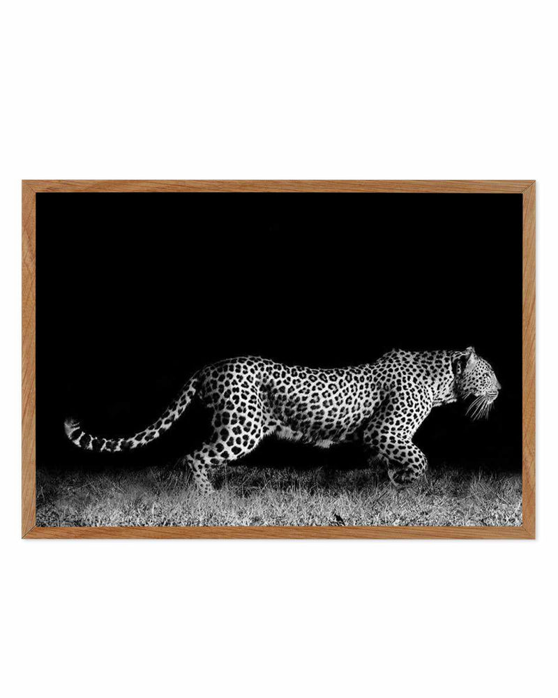 Leopard De Nuit | LS Art Print