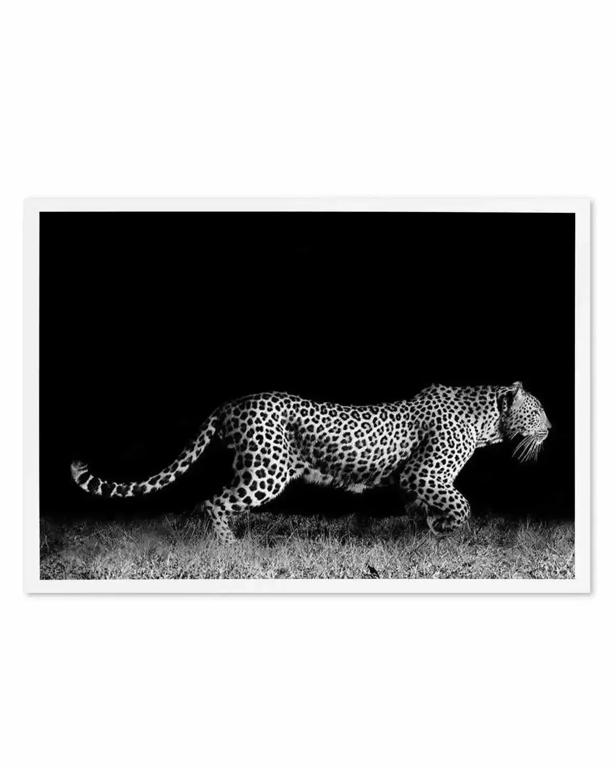 Leopard De Nuit | LS Art Print from Olive et Oriel where you can shop wallpaper and artworks online
