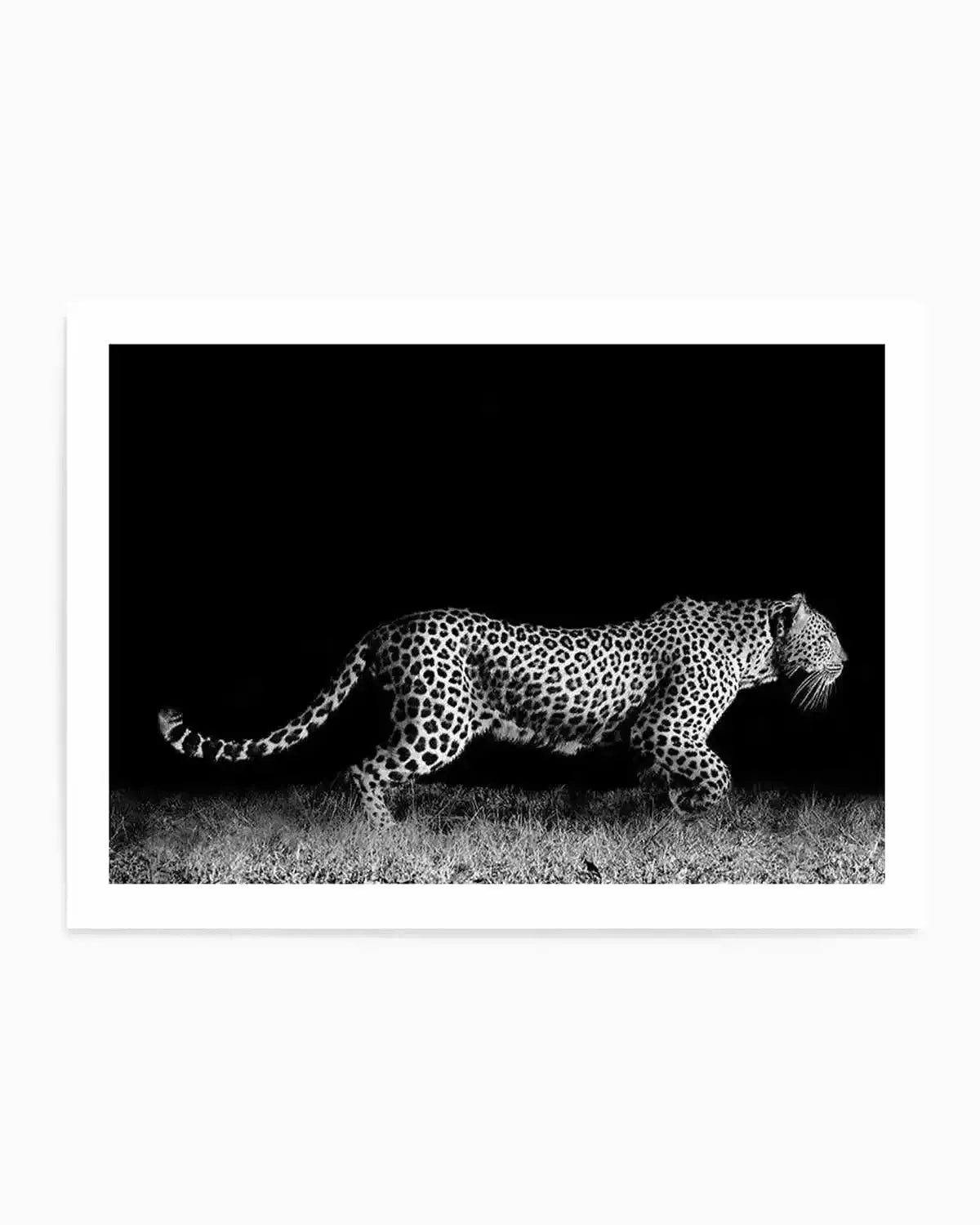 Leopard De Nuit | LS Art Print from Olive et Oriel where you can shop wallpaper and artworks online