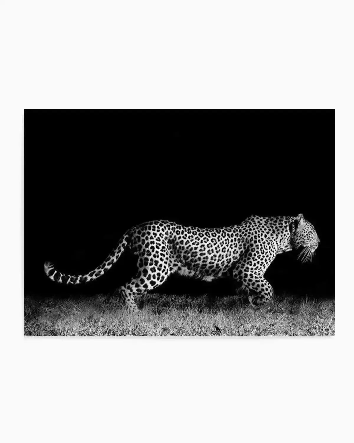 Leopard De Nuit | LS Art Print from Olive et Oriel where you can shop wallpaper and artworks online