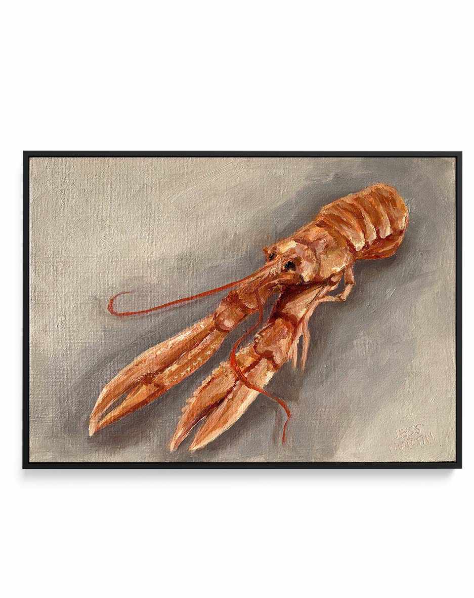 Lester The Langoustine by Jess Martin | Framed Canvas Art Print