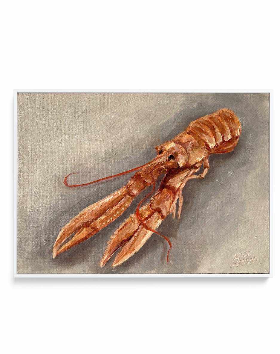 Lester The Langoustine by Jess Martin | Framed Canvas Art Print