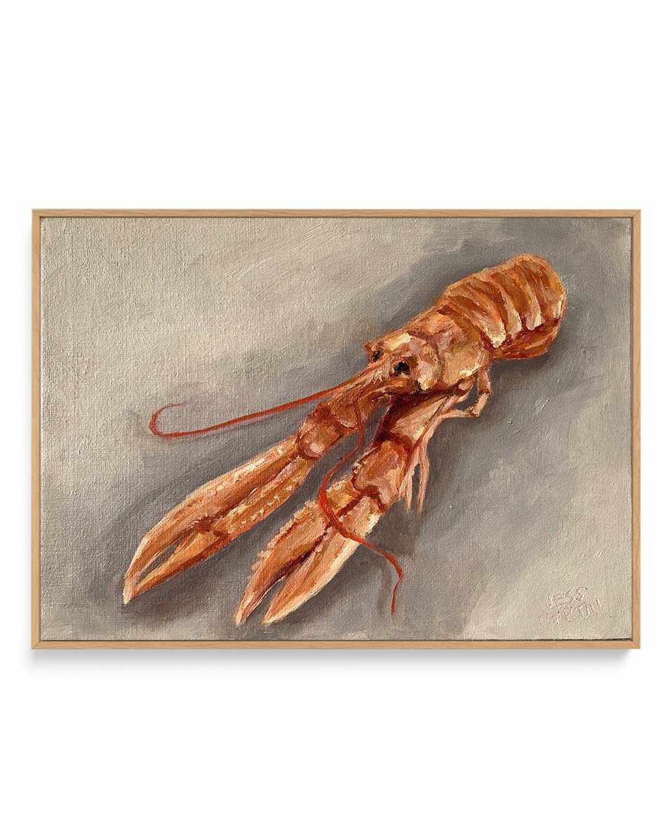 Lester The Langoustine by Jess Martin | Framed Canvas Art Print