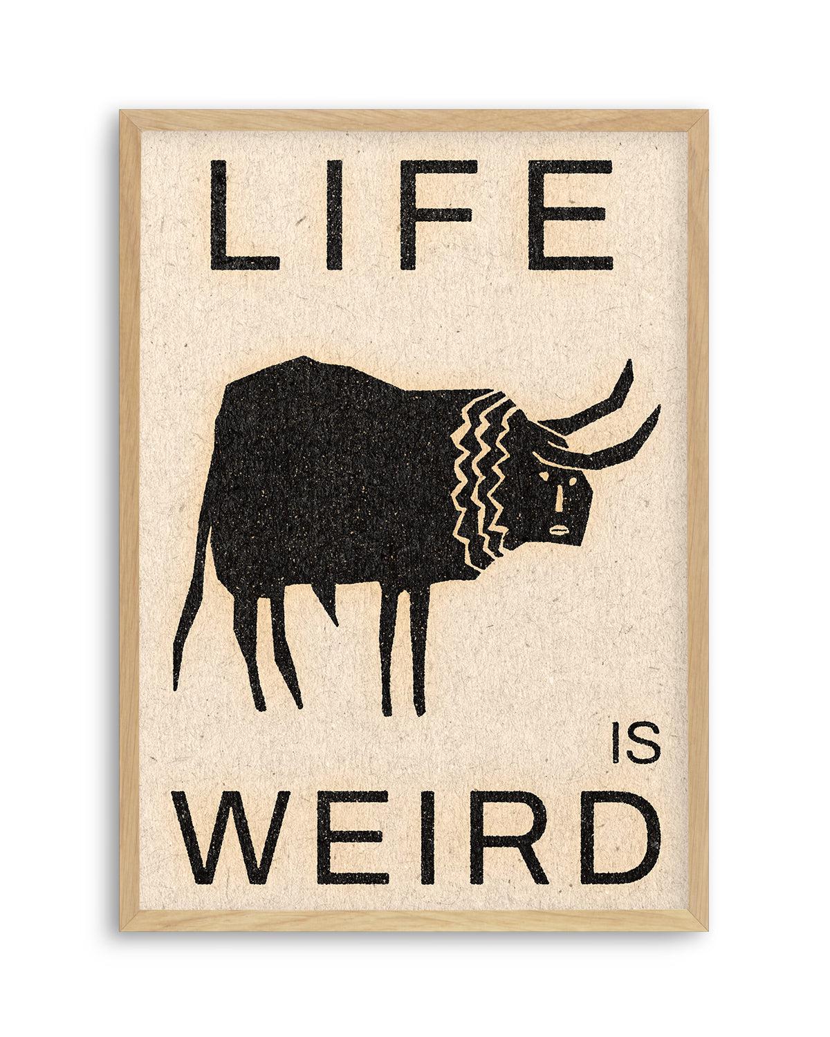 Life is Weird by David Schmitt Art Print