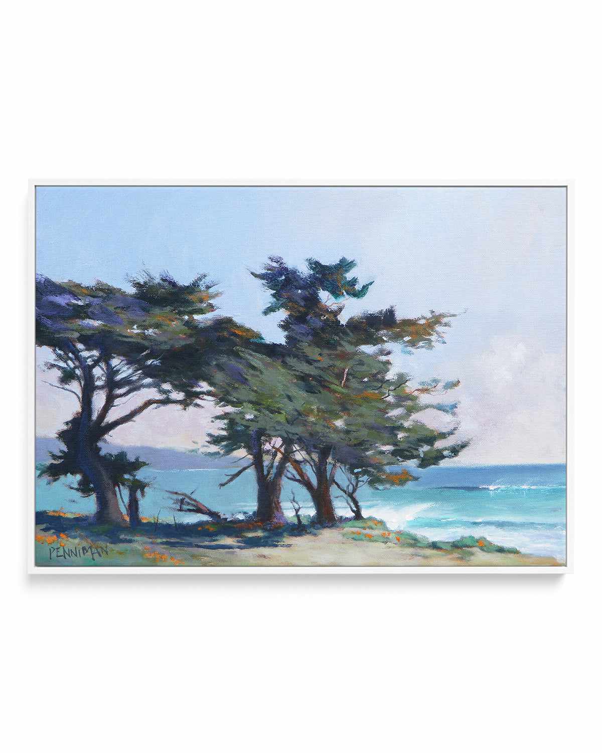 Lighthouse Field II by Ed Penniman | Framed Canvas Art Print