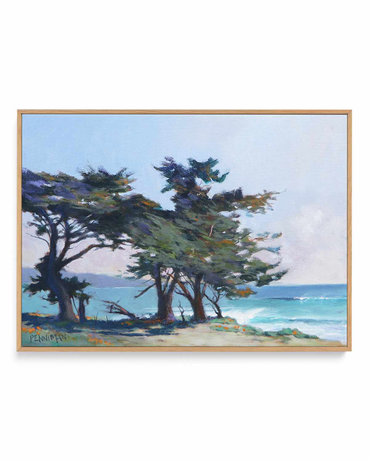 Lighthouse Field II by Ed Penniman | Framed Canvas Art Print