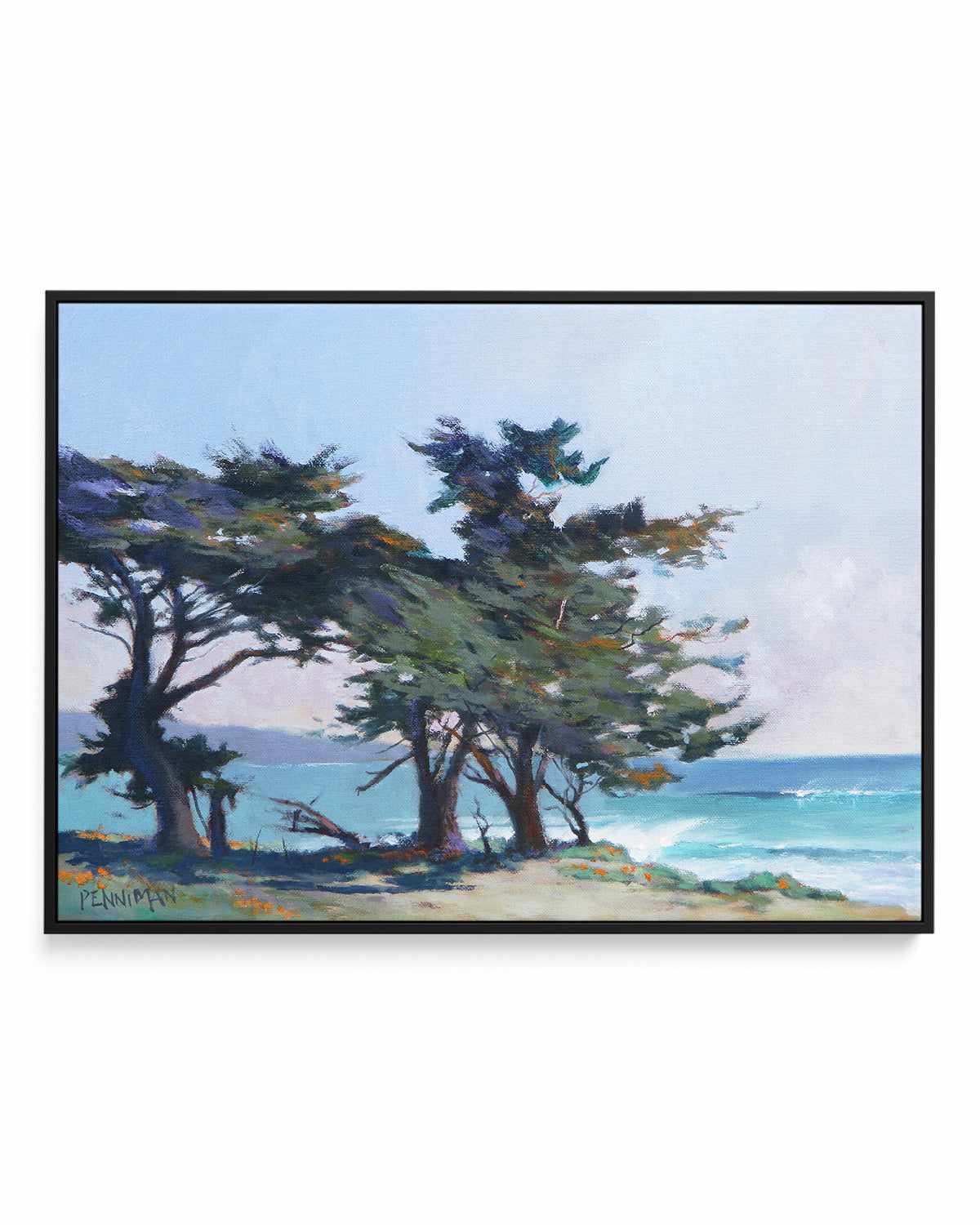 Lighthouse Field II by Ed Penniman | Framed Canvas Art Print