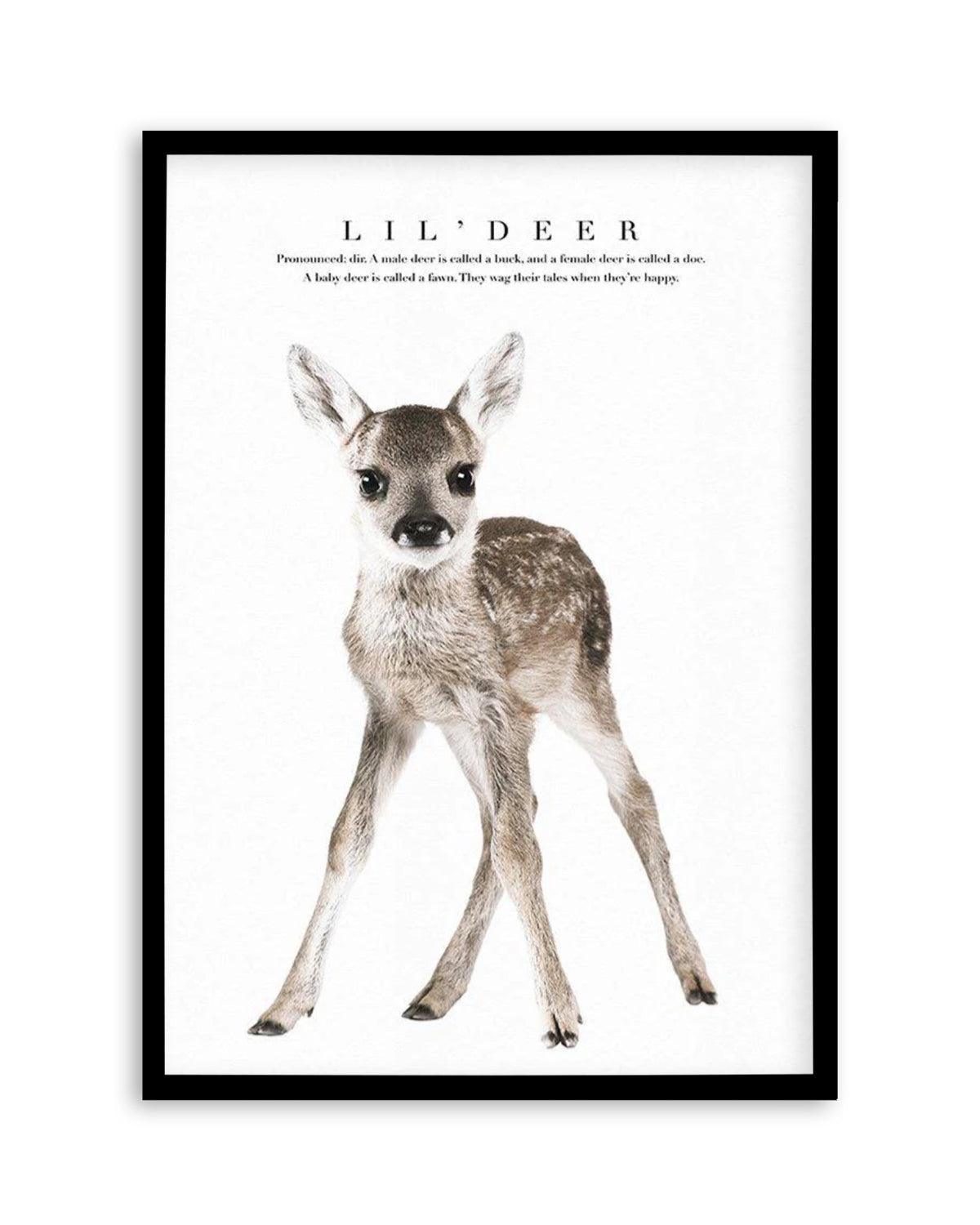 Lil' Deer Art Print