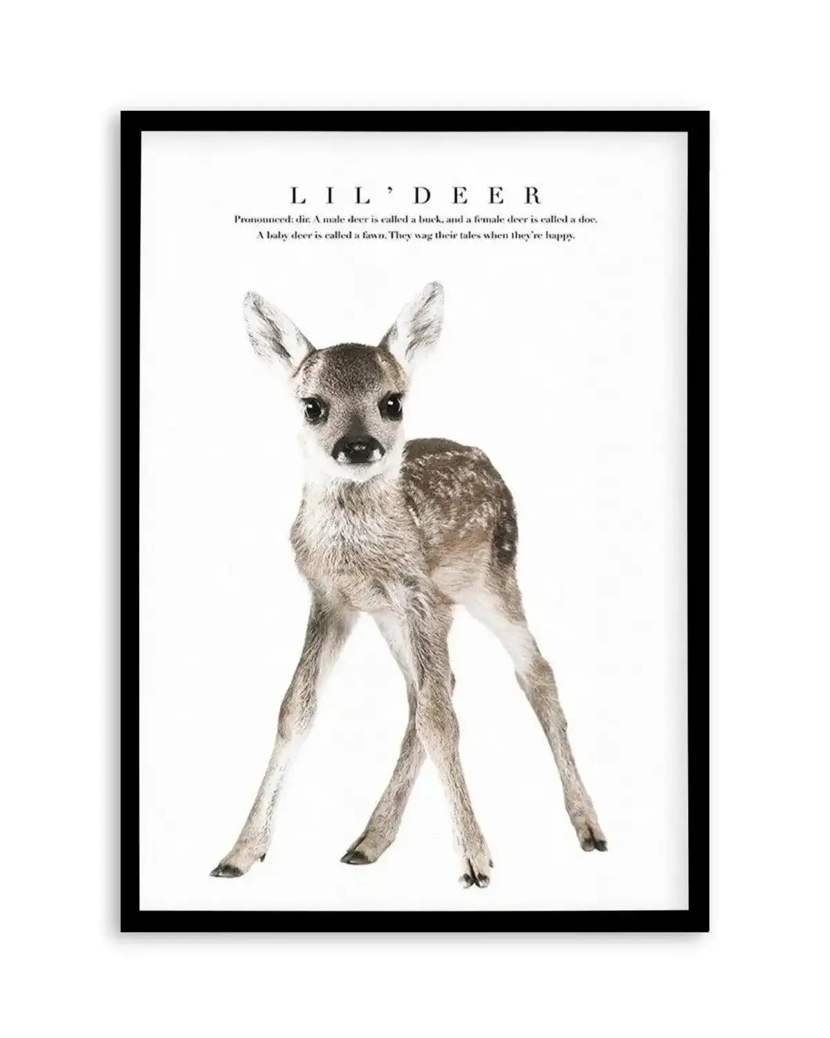 Lil' Deer Art Print from Olive et Oriel where you can shop wallpaper and artworks online
