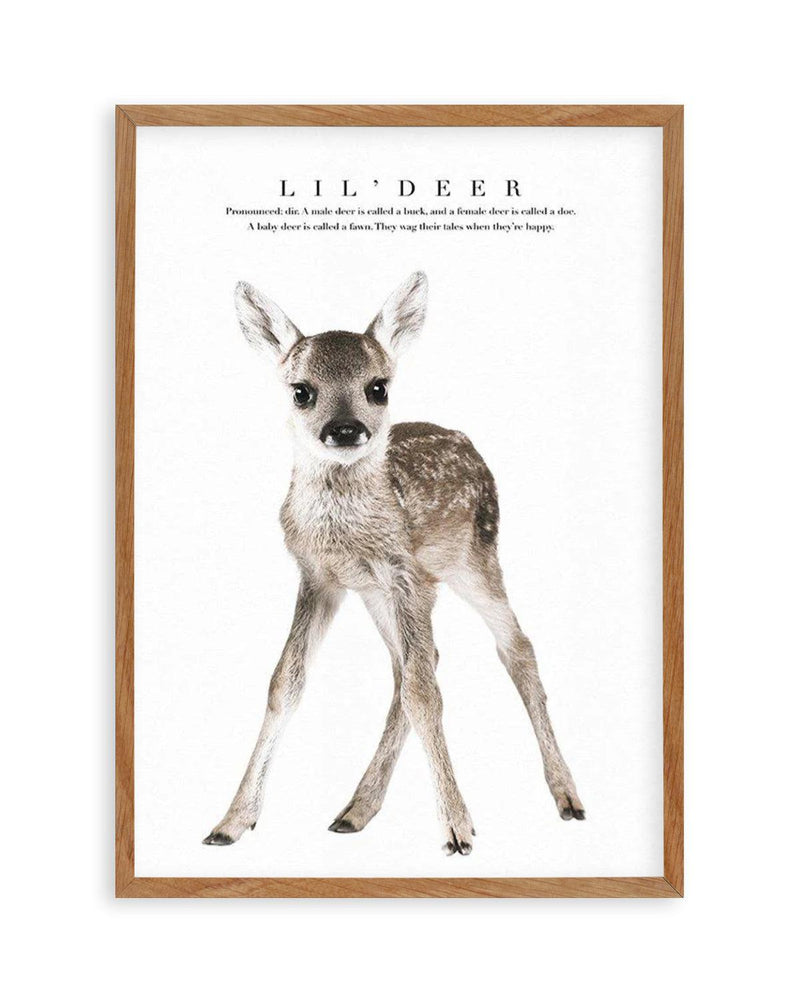 Lil' Deer Art Print