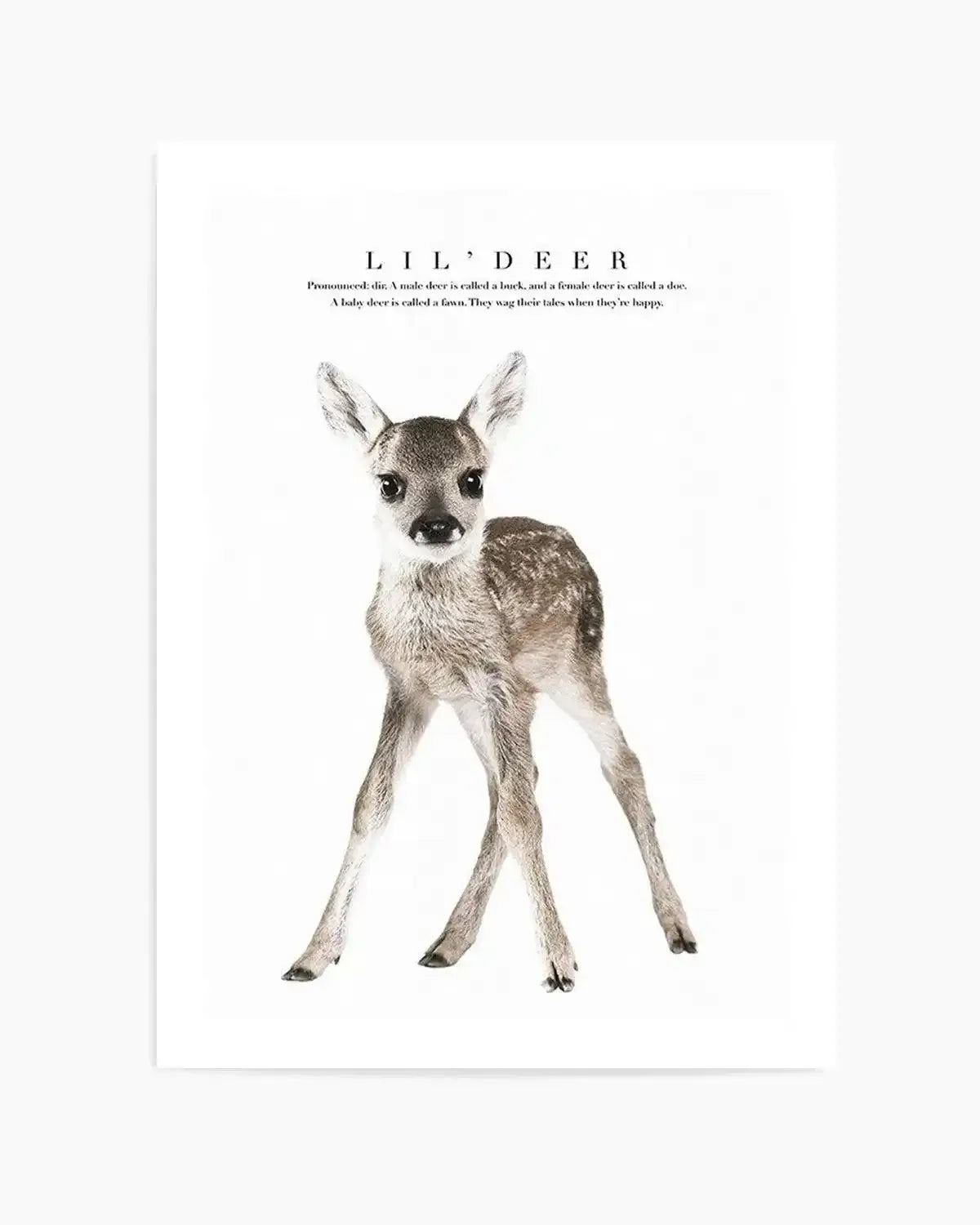 Lil' Deer Art Print from Olive et Oriel where you can shop wallpaper and artworks online