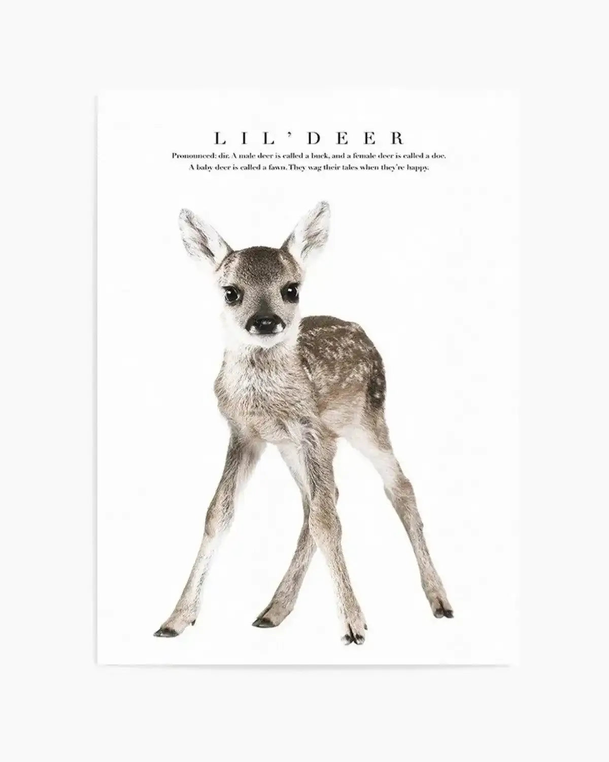 Lil' Deer Art Print from Olive et Oriel where you can shop wallpaper and artworks online