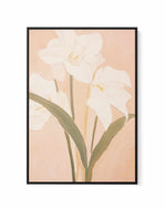 Lily I | Framed Canvas Art Print