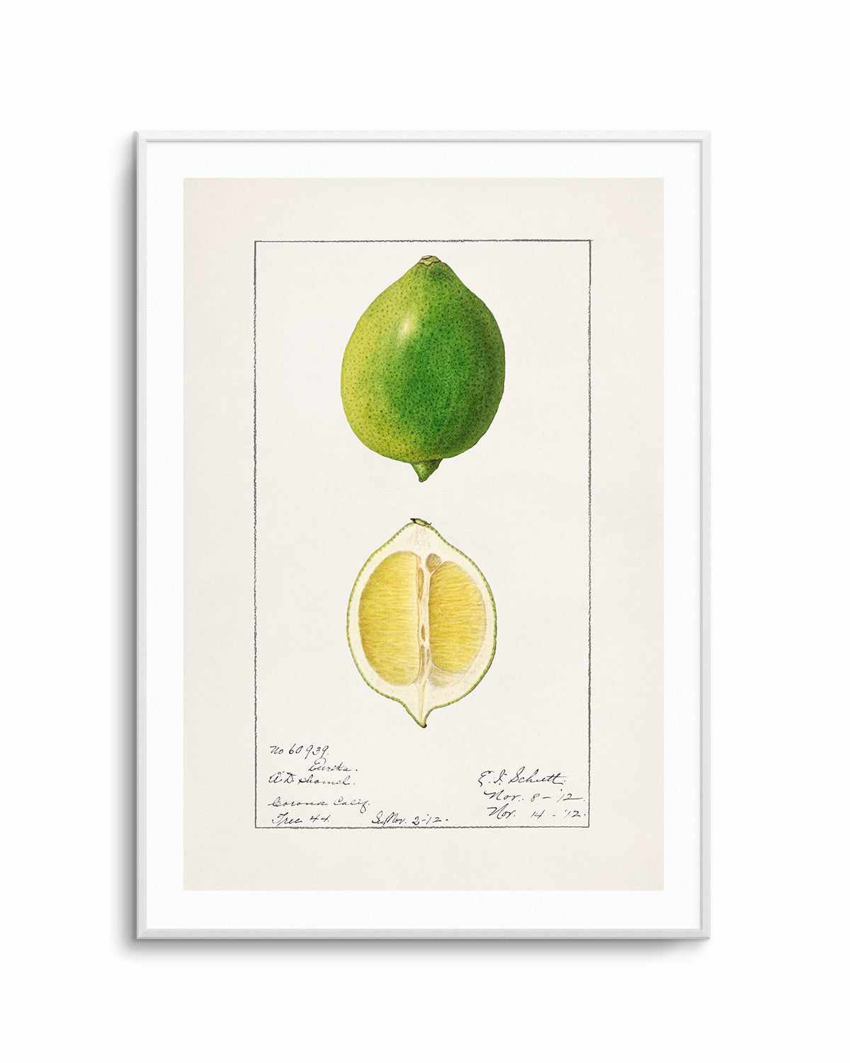 Lime Vintage Poster Art Print