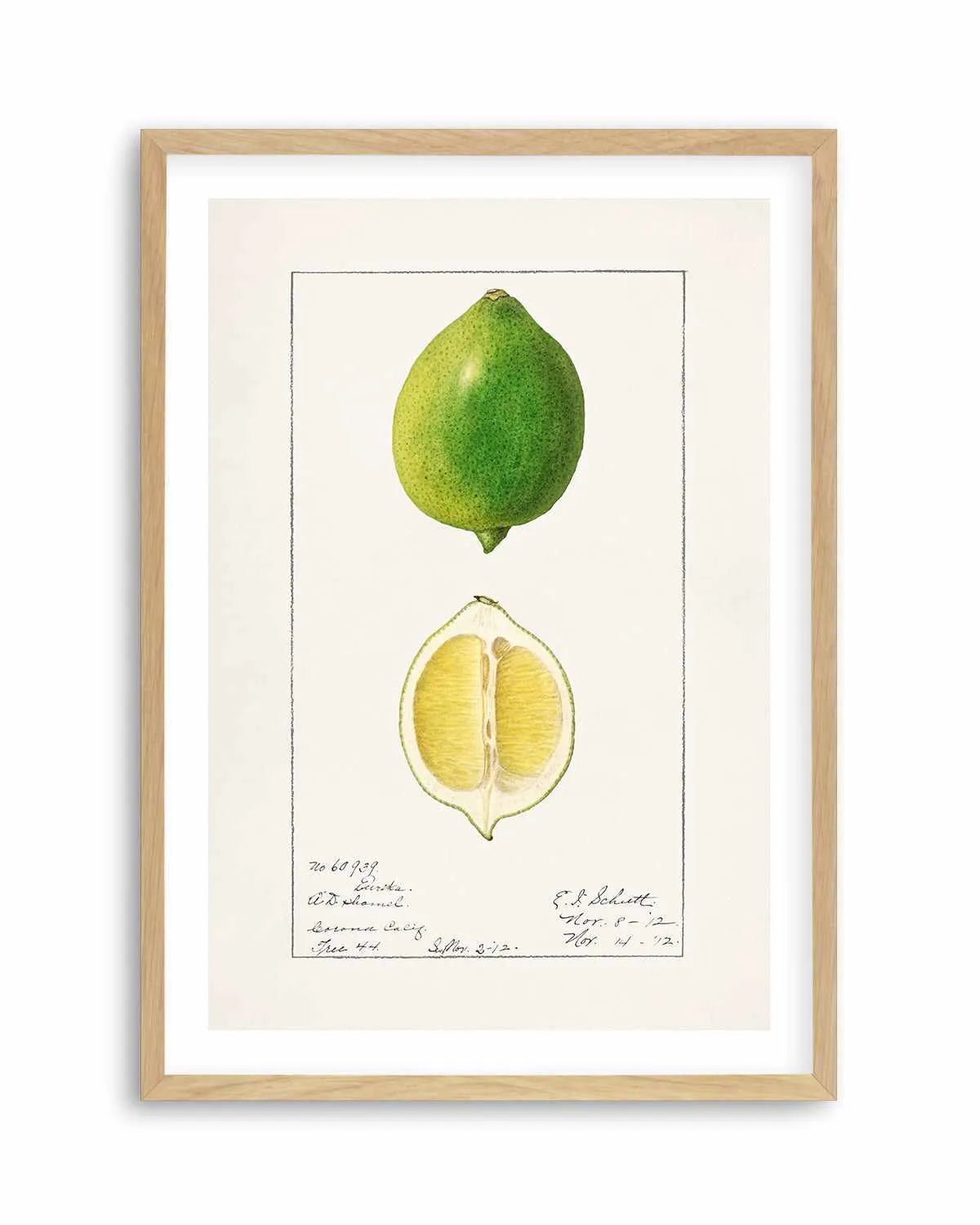Lime Vintage Poster Art Print from Olive et Oriel where you can shop wallpaper and artworks online