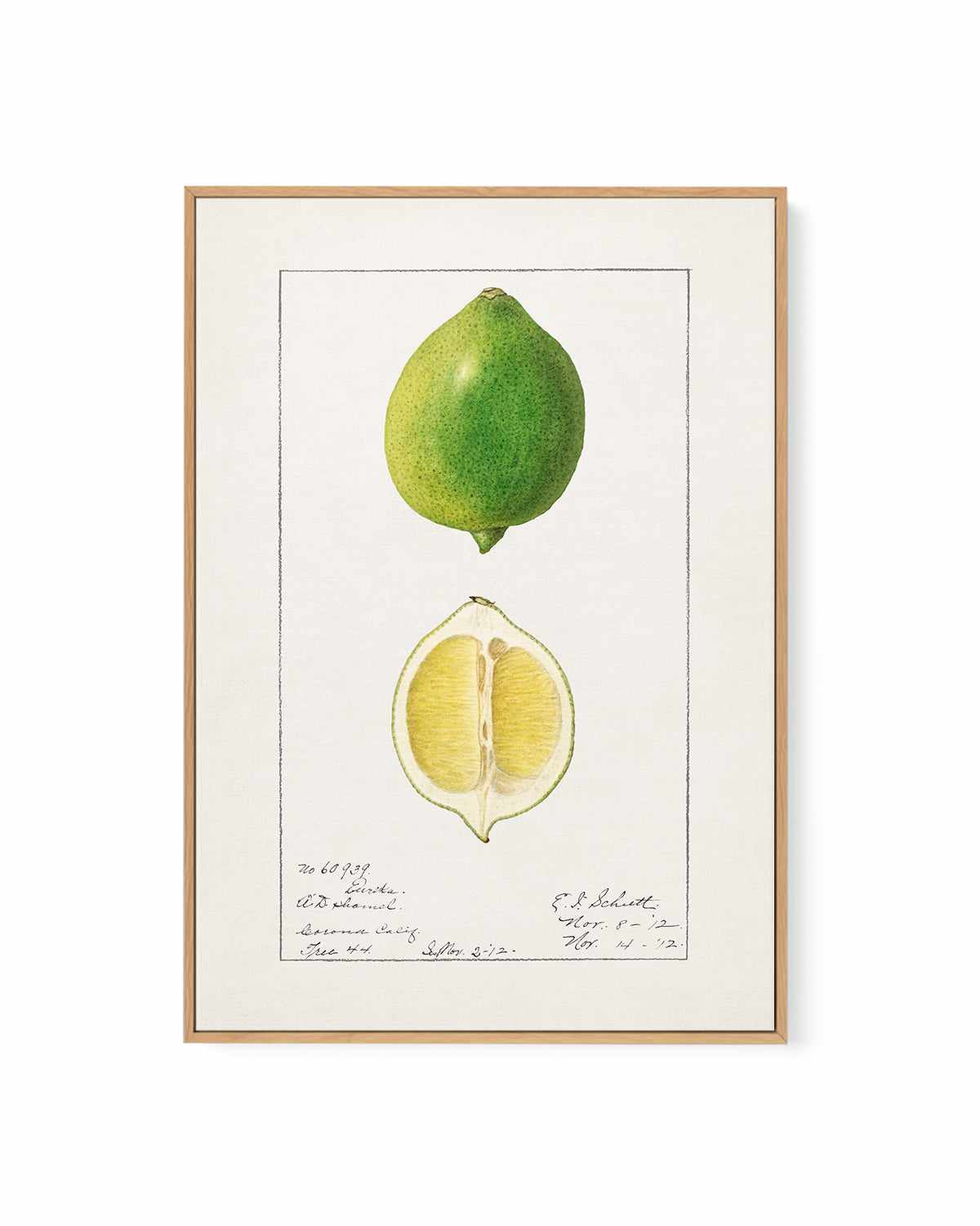 Lime Vintage Poster | Framed Canvas Art Print