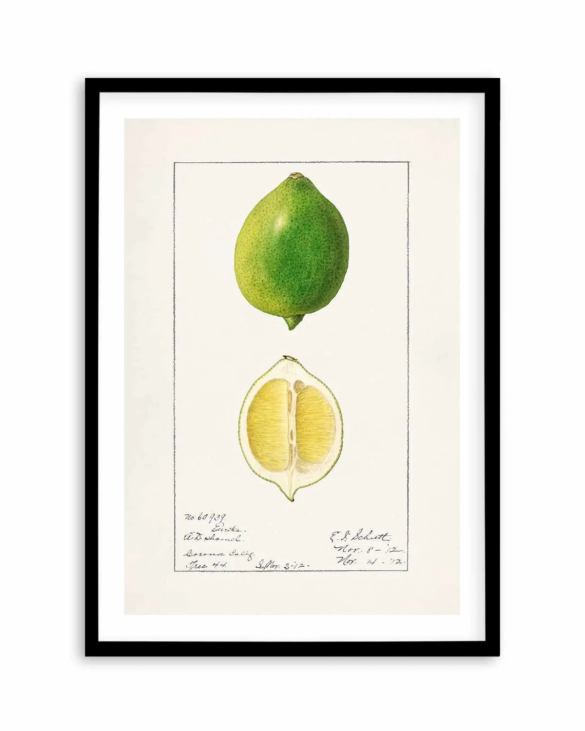 Lime Vintage Poster Art Print from Olive et Oriel where you can shop wallpaper and artworks online
