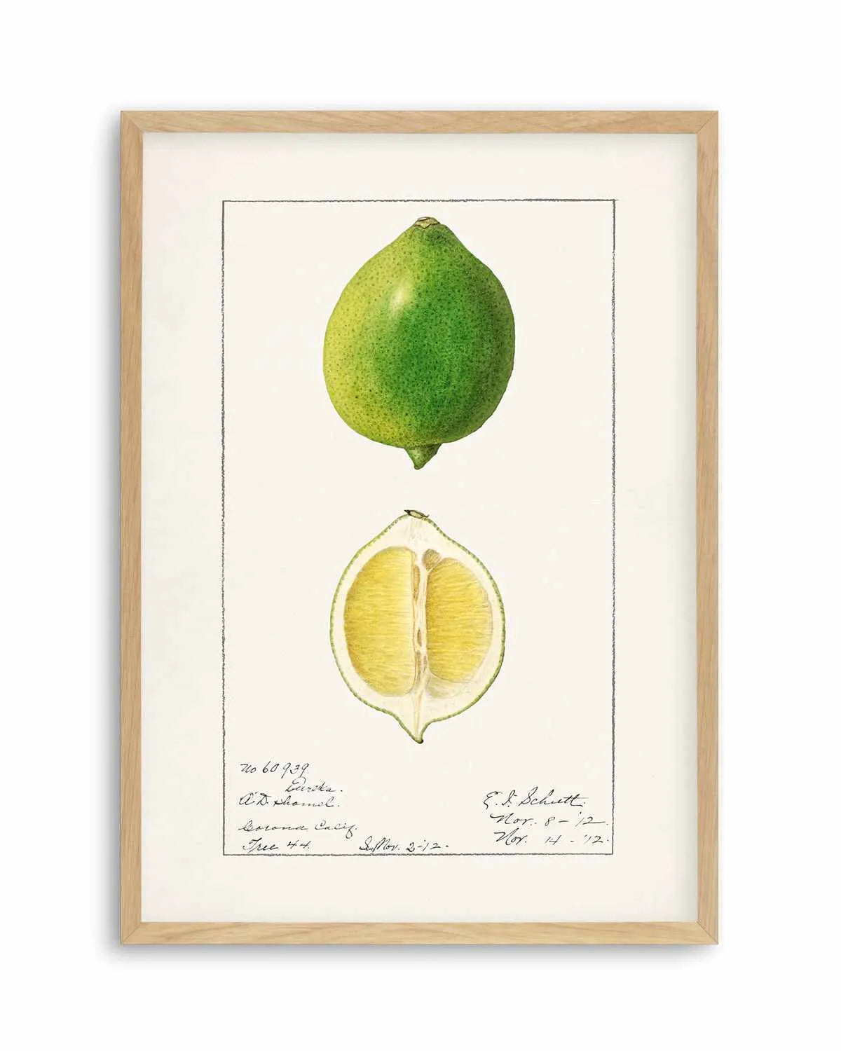 Lime Vintage Poster Art Print from Olive et Oriel where you can shop wallpaper and artworks online