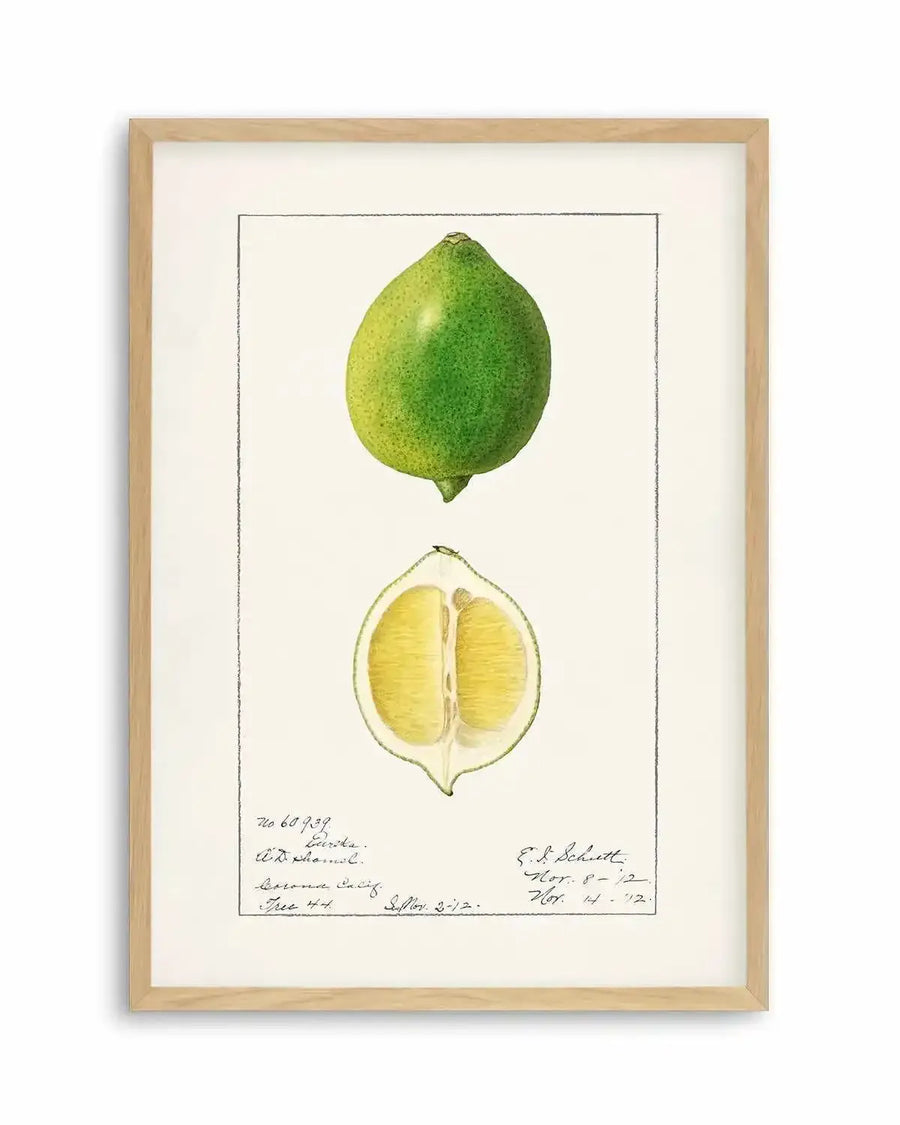 Lime Vintage Poster Art Print from Olive et Oriel where you can shop wallpaper and artworks online