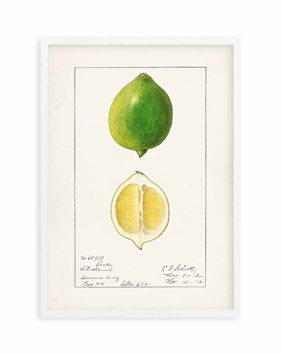 Lime Vintage Poster Art Print from Olive et Oriel where you can shop wallpaper and artworks online