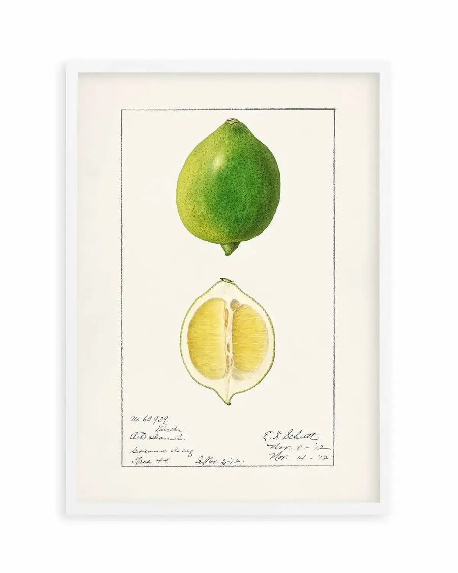 Lime Vintage Poster Art Print from Olive et Oriel where you can shop wallpaper and artworks online