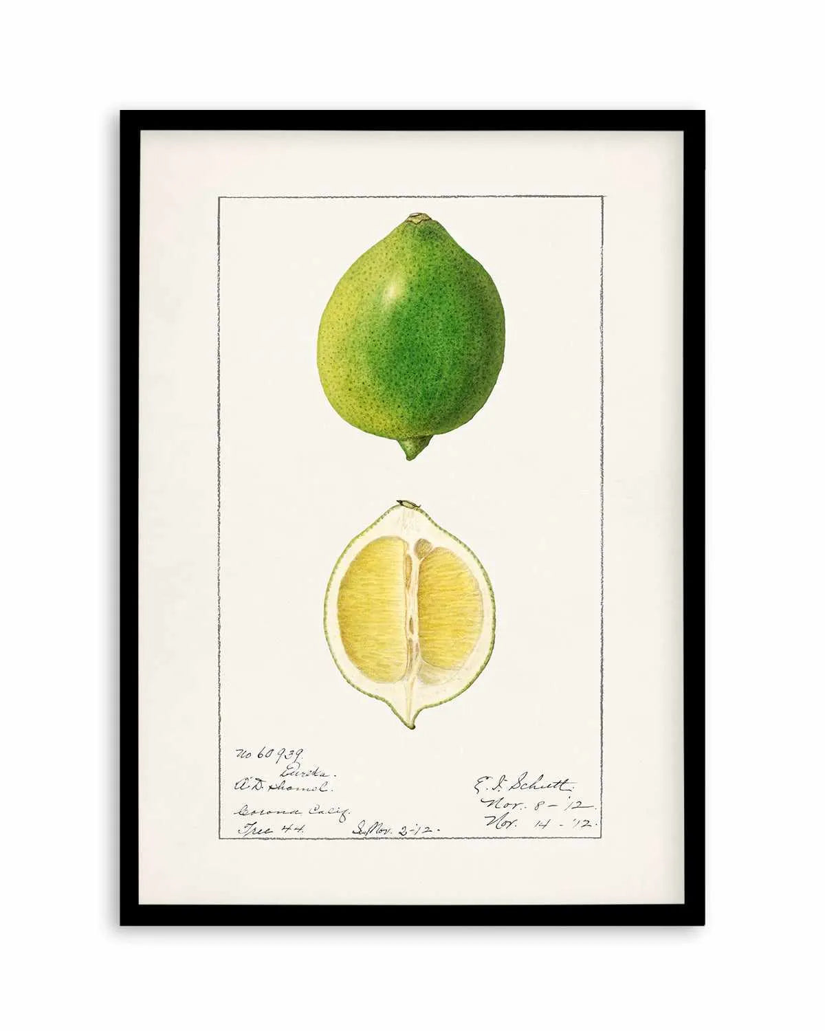 Lime Vintage Poster Art Print from Olive et Oriel where you can shop wallpaper and artworks online