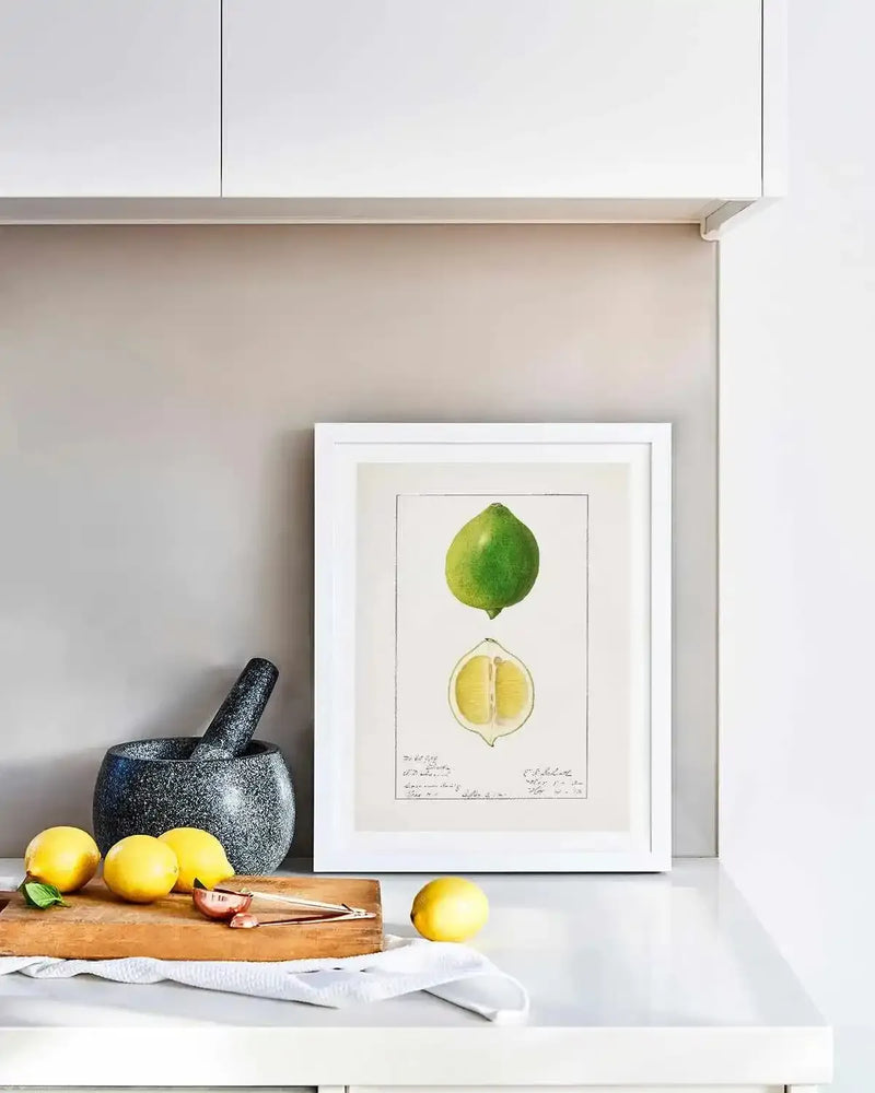 Lime Vintage Poster Art Print from Olive et Oriel where you can shop wallpaper and artworks online
