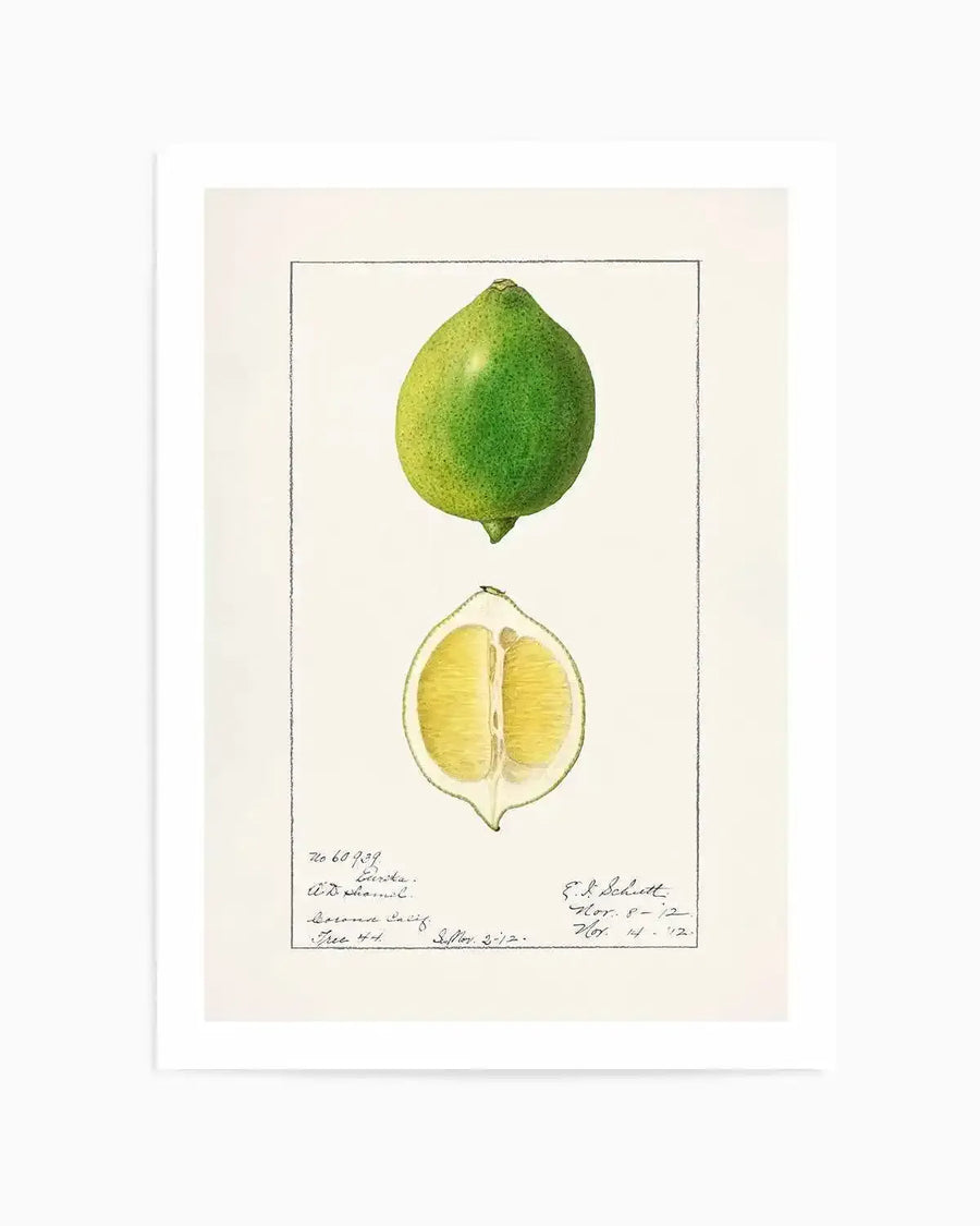 Lime Vintage Poster Art Print from Olive et Oriel where you can shop wallpaper and artworks online