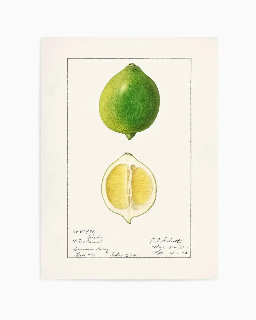 Lime Vintage Poster Art Print from Olive et Oriel where you can shop wallpaper and artworks online