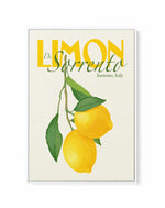 Limon Di Sorrento by Jenny Liz Rome | Framed Canvas Art Print