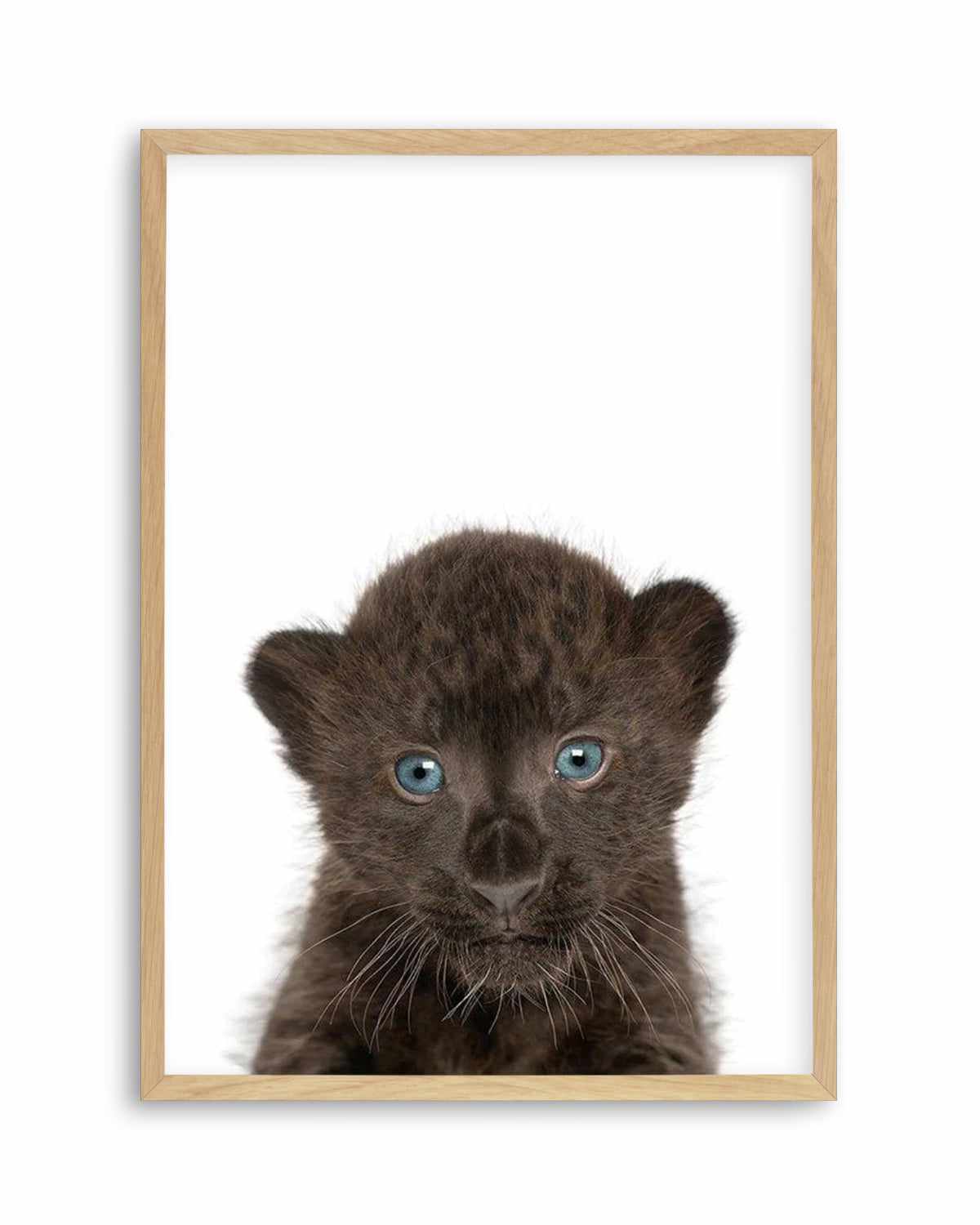 Little Black Leopard Cub Art Print