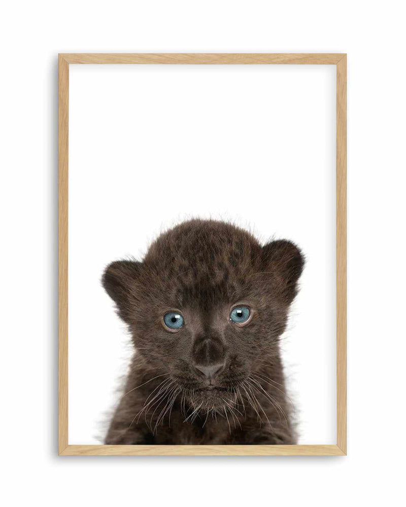 Little Black Leopard Cub Art Print