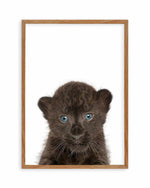 Little Black Leopard Cub Art Print