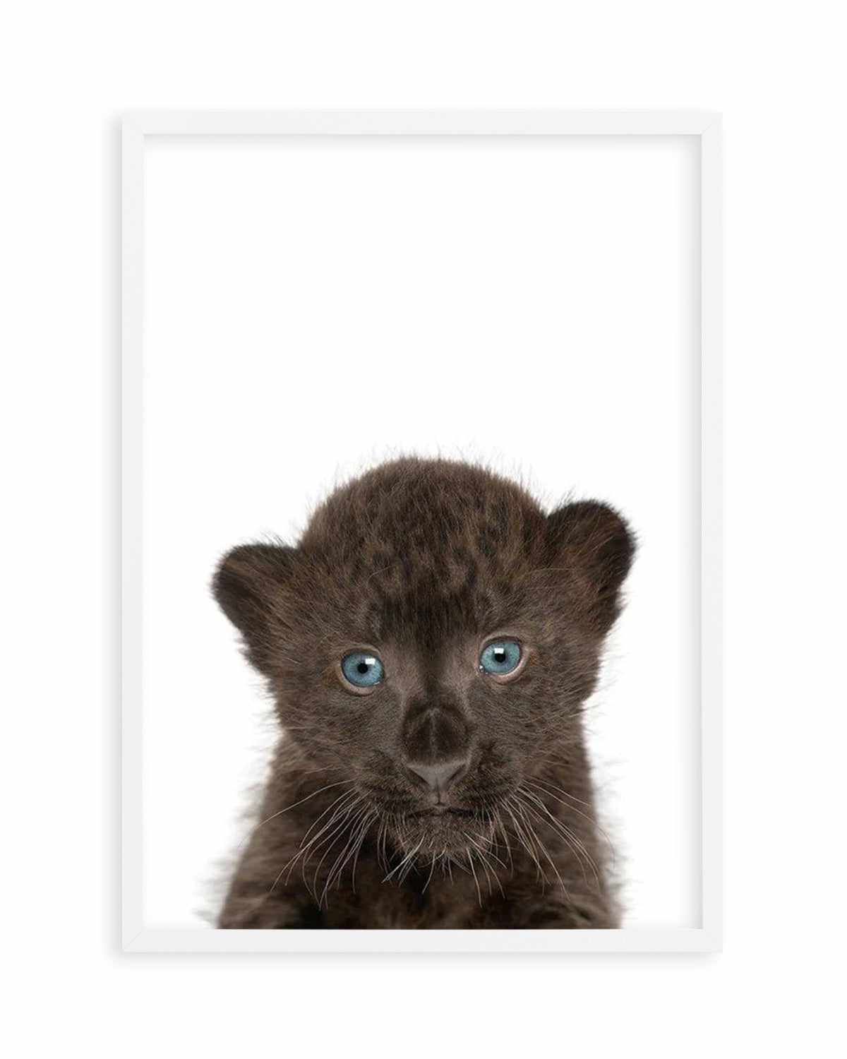 Little Black Leopard Cub Art Print