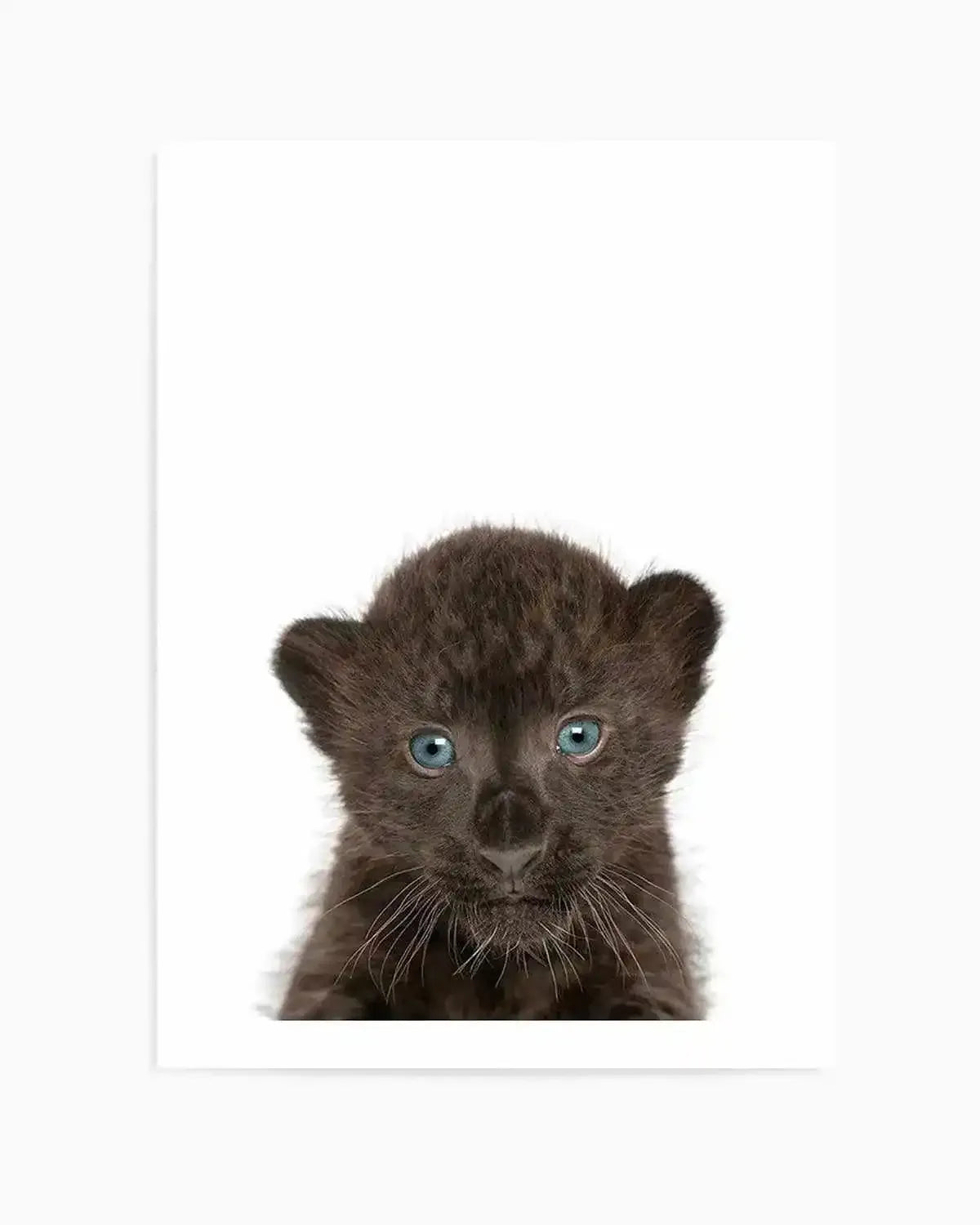 Little Black Leopard Cub Art Print from Olive et Oriel where you can shop wallpaper and artworks online