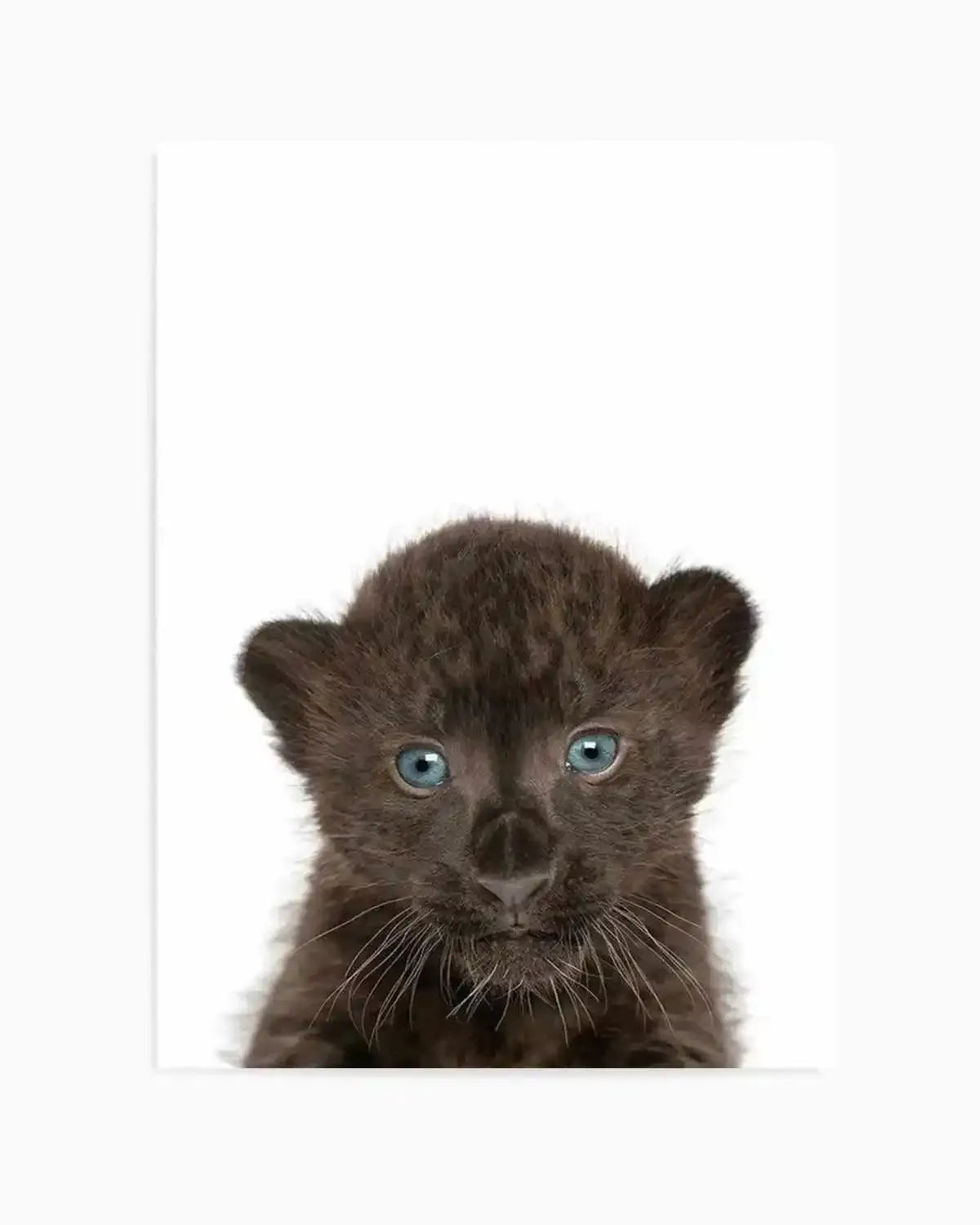 Little Black Leopard Cub Art Print from Olive et Oriel where you can shop wallpaper and artworks online