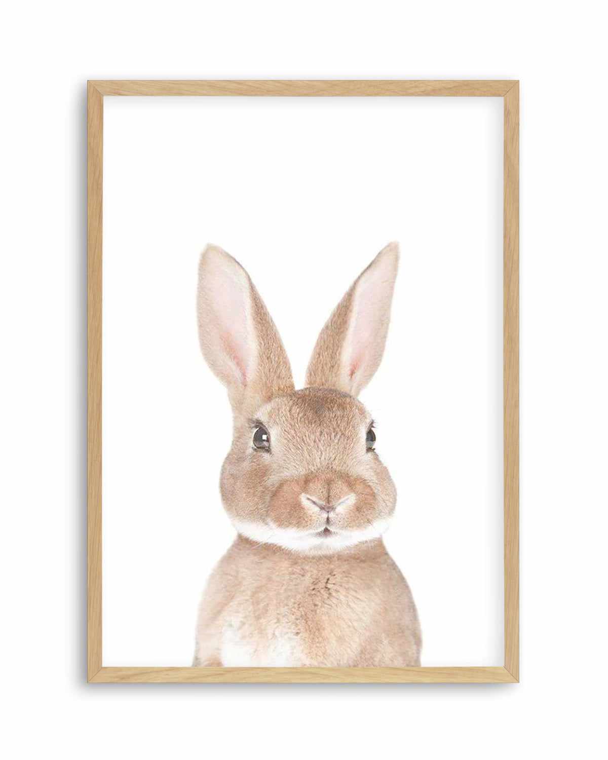 Little Bunny Art Print