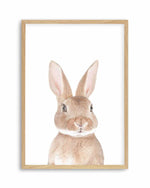 Little Bunny Art Print