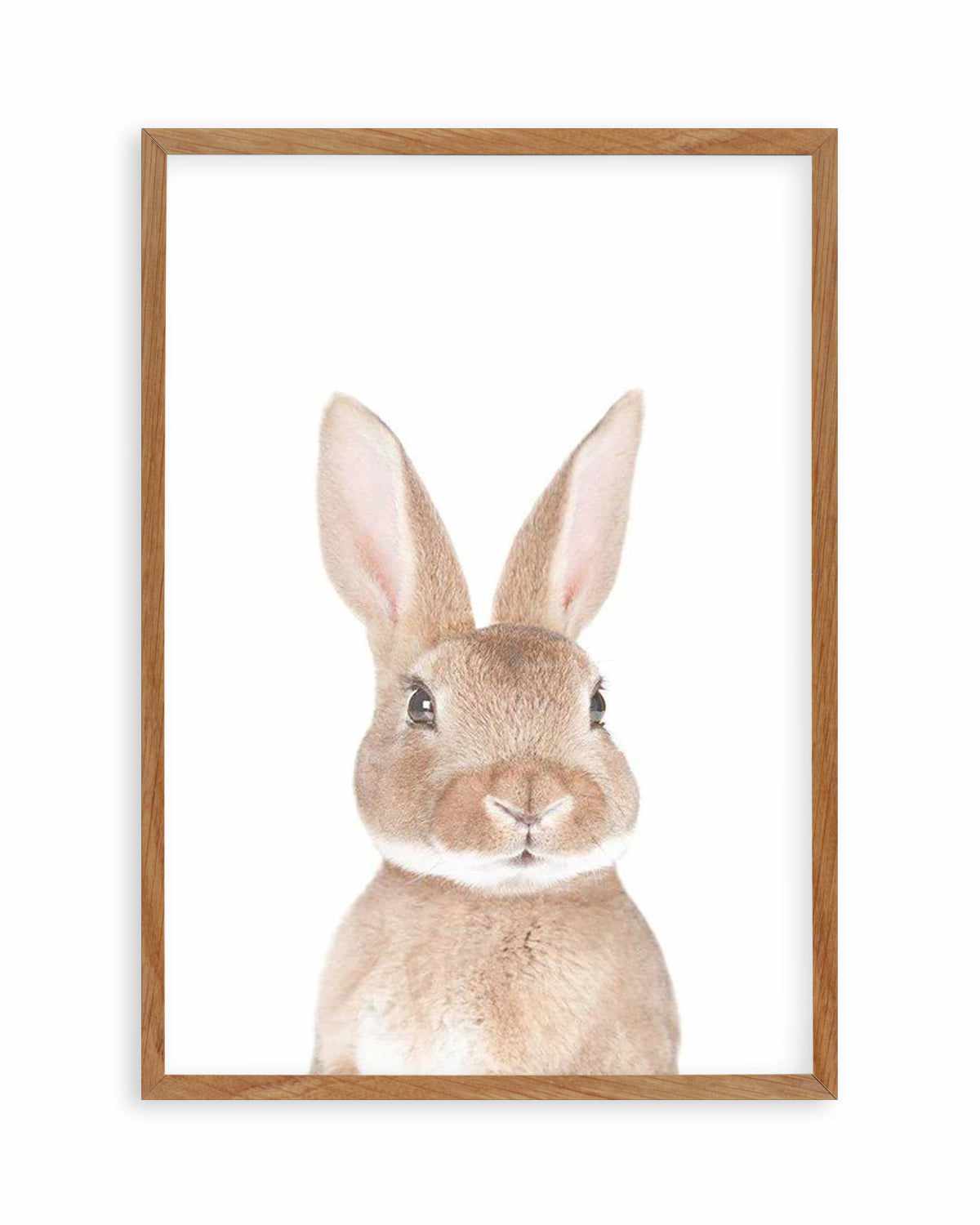 Little Bunny Art Print